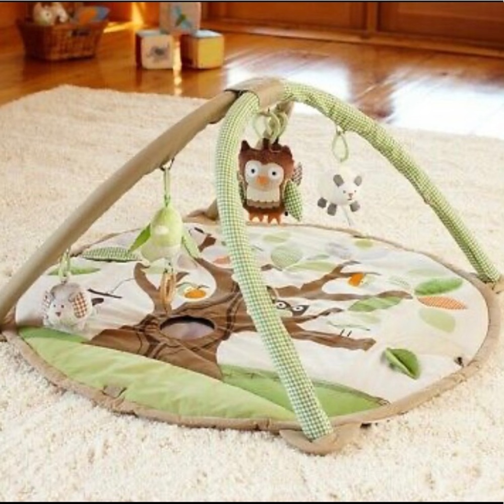 Pottery Barn Kids x Skip Hop Animal Friend Activity Gym